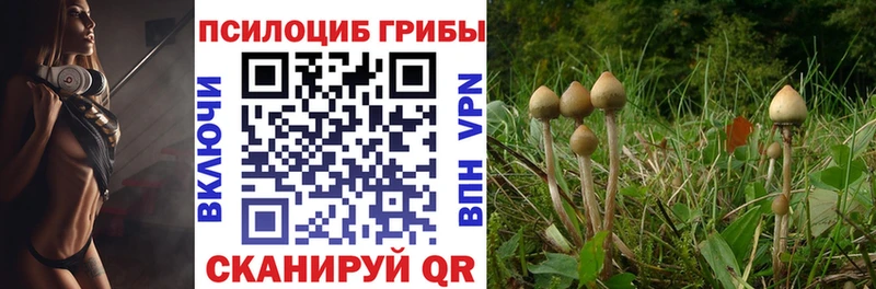 KRAKEN tor  цена   Спас-Клепики  Галлюциногенные грибы ЛСД 